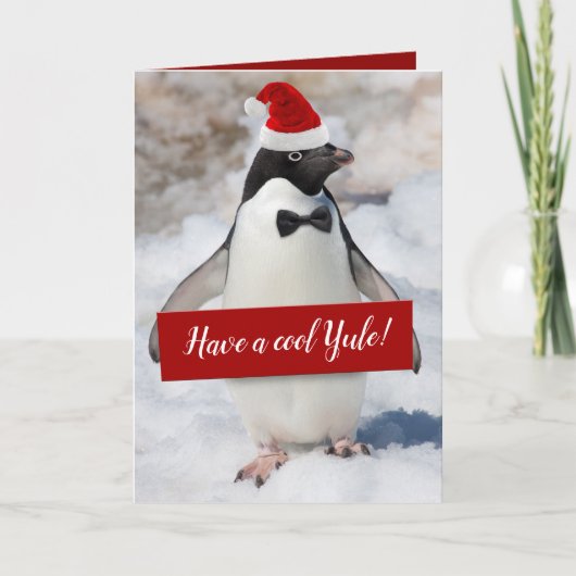 Niedlicher Penguin in Weihnachtsmannmütze Holding Feiertagskarte (Vorderseite)