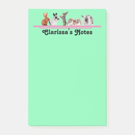 Niedlicher Personalisierter Bunny Stationery Stick Post-it Klebezettel (Vorderseite)