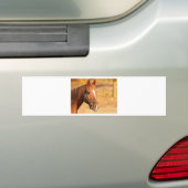 NIEDLICHER PFERD AUTOAUFKLEBER (Auf Auto)