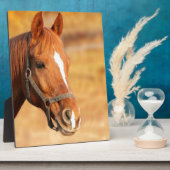 NIEDLICHER PFERD FOTOPLATTE (Seite)