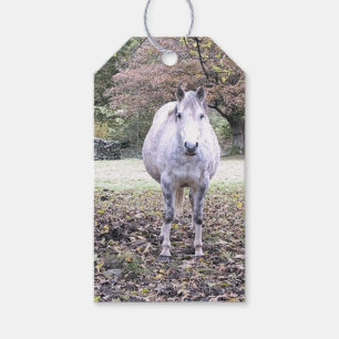 NIEDLICHER PFERD GESCHENKANHÄNGER
