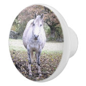 NIEDLICHER PFERD KERAMIKKNAUF (Rechts)