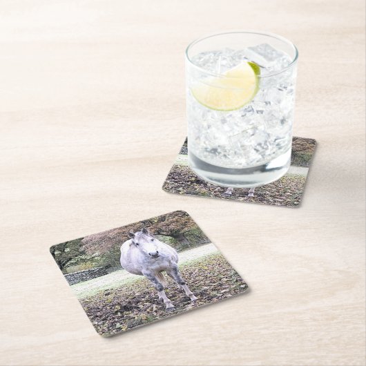 NIEDLICHER PFERD RECHTECKIGER PAPPUNTERSETZER (Vor Ort)