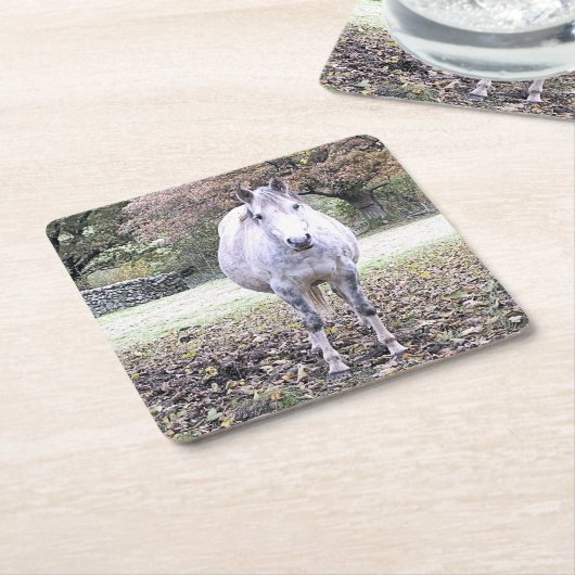 NIEDLICHER PFERD RECHTECKIGER PAPPUNTERSETZER (angewinkelt)