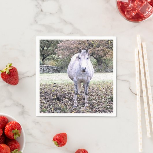 NIEDLICHER PFERD SERVIETTE (Beispiel)