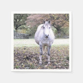 NIEDLICHER PFERD SERVIETTE (Vorderseite)