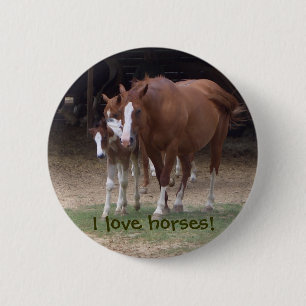 Niedlicher Pferdeknopf Button