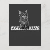 Niedlicher Piano Cat Pianist Keyboard Player