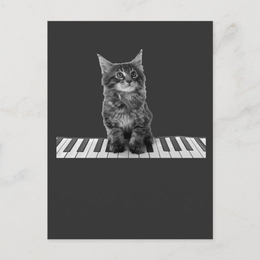 Niedlicher Piano Cat Pianist Keyboard Player Postkarte (Vorderseite)