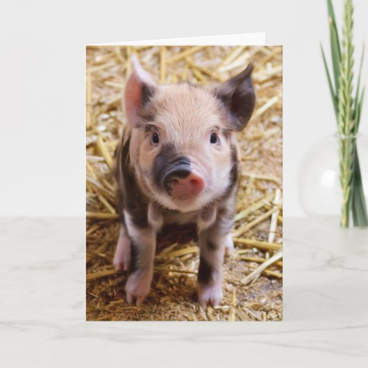 Niedlicher Pic eines Baby Schweins Feiertagskarte (Vorderseite)