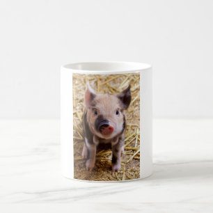 Niedlicher Pic eines Baby Schweins Kaffeetasse