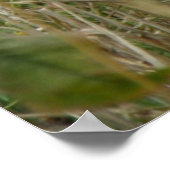 Niedlicher Pieptdruck Poster (Ecke)