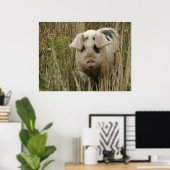 Niedlicher Pieptdruck Poster (Heimbüro)
