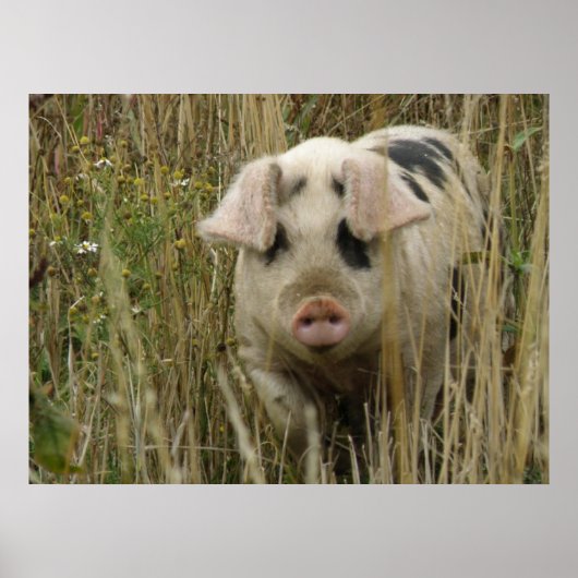 Niedlicher Pieptdruck Poster (Vorne)