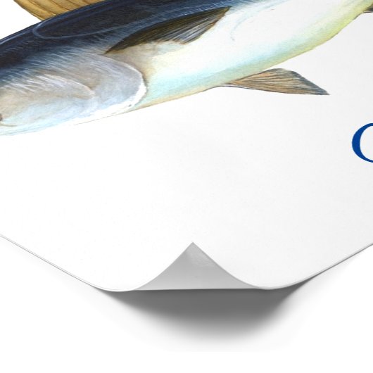 Niedlicher Pinkschwanzmarmelade Thunder_Cove Poster (Ecke)