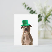 Niedlicher Pit Bull Dog Hat St. Patrick's Day Postkarte (Stehend Vorderseite)