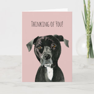 Niedlicher Pit Bull Terrier Dog   Denken Sie Karte