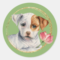 Niedlicher Pit Bull Welpe mit Spring Blume