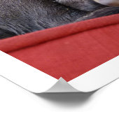 Niedlicher Pit Bull Welpe Poster (Ecke)