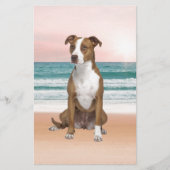 Niedlicher Pitbull Hund sitzend am Strand mit Sonn Briefpapier (Vorderseite)