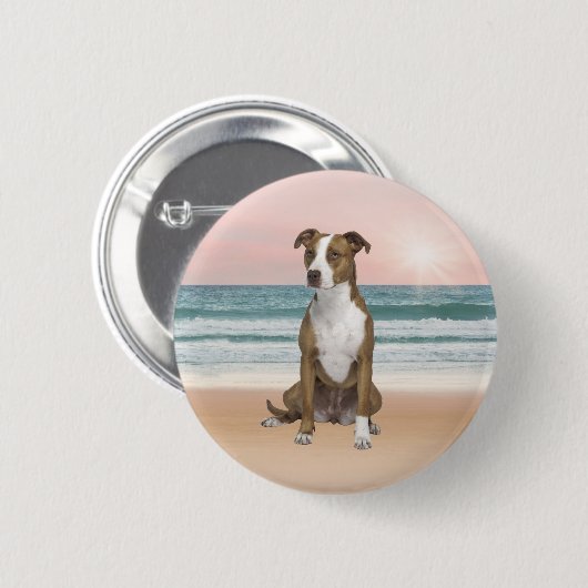 Niedlicher Pitbull Hund sitzend am Strand mit Sonn Button (Vorne & Hinten)