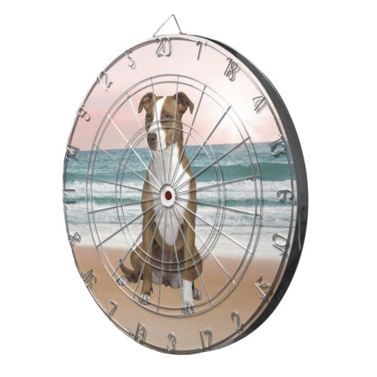 Niedlicher Pitbull Hund sitzend am Strand mit Sonn Dartscheibe (Vorderseite rechts)