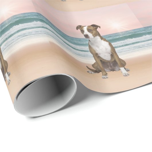 Niedlicher Pitbull Hund sitzend am Strand mit Sonn Geschenkpapier (Rolleneckpunkt)