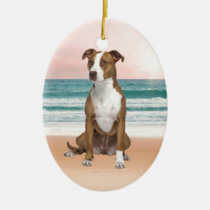 Niedlicher Pitbull Hund sitzend am Strand mit Sonn Keramik Ornament