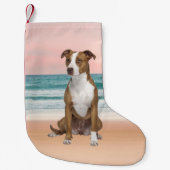 Niedlicher Pitbull Hund sitzend am Strand mit Sonn Kleiner Weihnachtsstrumpf (Vorderseite)