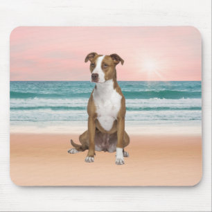 Niedlicher Pitbull Hund sitzend am Strand mit Sonn Mousepad