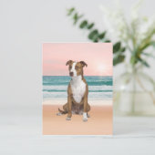 Niedlicher Pitbull Hund sitzend am Strand mit Sonn Postkarte (Stehend Vorderseite)