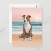 Niedlicher Pitbull Hund sitzend am Strand mit Sonn Postkarte (Vorne/Hinten)