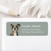 Niedlicher Pitbull Hund Welpen Augen Rücksendeadre (Insitu)