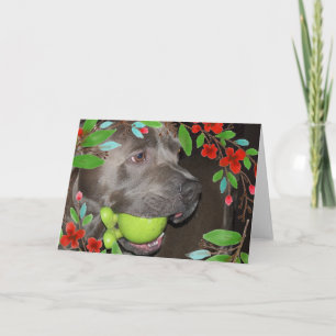 Niedlicher Pitbull Terrier mit roter Blume Karte