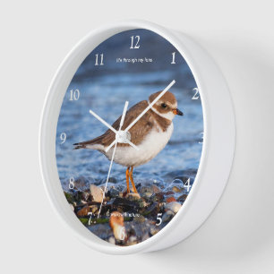 Niedlicher Plover Sandpiper Shorebird Wanduhr