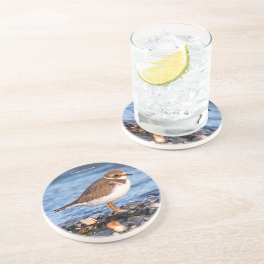 Niedlicher Plover-Shorebird am Winterstrand Getränkeuntersetzer (Seite)