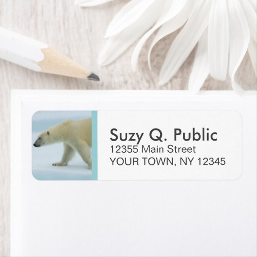 Niedlicher Polar-Bär - benutzerdefinierte Adresset (Insitu)