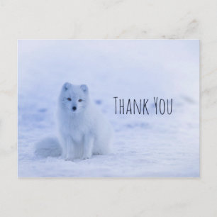 Niedlicher Polarfuchs im Schnee Danke Postkarte