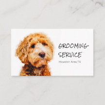 Niedlicher Poodle Dog Grooming