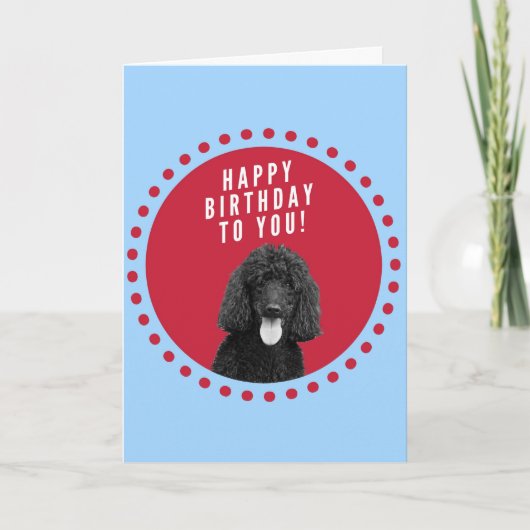 Niedlicher Poodle Hund Happy Birthday Red Dots Cir Karte (Vorderseite)