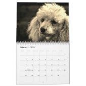 Niedlicher Poodle Hund Kalender (Feb 2026)