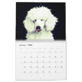 Niedlicher Poodle Hund Kalender (Jan 2026)