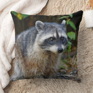 Niedlicher Posing Nordamerikanischer Raccoon Kissen