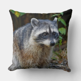 Niedlicher Posing Nordamerikanischer Raccoon Kissen