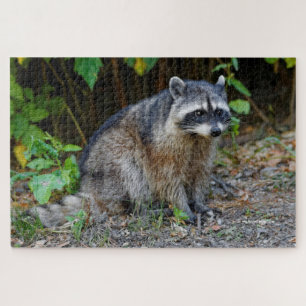 Niedlicher Posing Nordamerikanischer Raccoon Puzzle