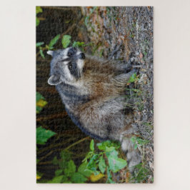 Niedlicher Posing Nordamerikanischer Raccoon Puzzle