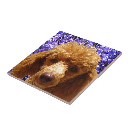 Niedlicher Pudel Fliese (Seite)