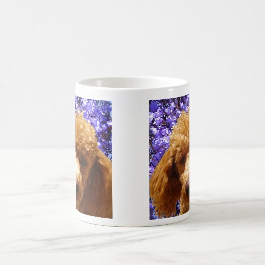 Niedlicher Pudel Tasse (Mittel)