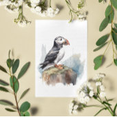 Niedlicher Puffin auf einem Felsen in Aquarell Postkarte