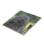 Niedlicher Puli Hund Fliese (Seite)